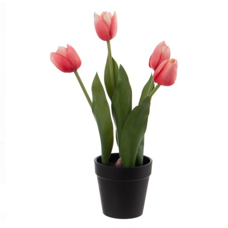 Planta Tulipanes Rosa 31cm