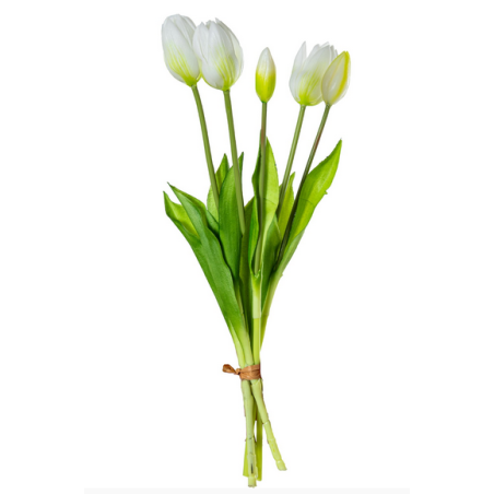 Ramo De 5 Tulipanes Blancos